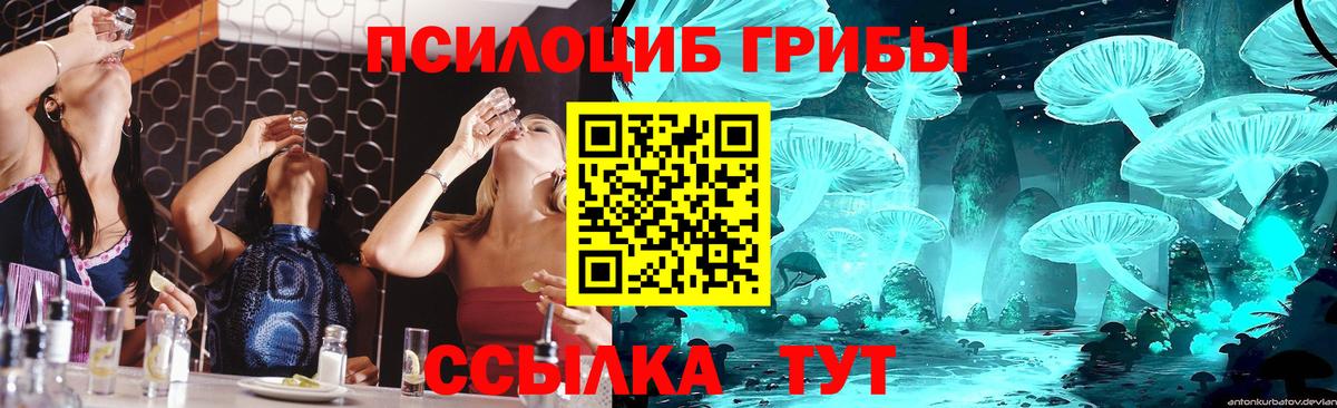 Галлюциногенные грибы прущие грибы  Вход с VPN  купить  цена  Гурьевск  Псилоцибиновые грибы Psilocybine cubensis 